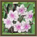 Цветы картина ART: FLW052