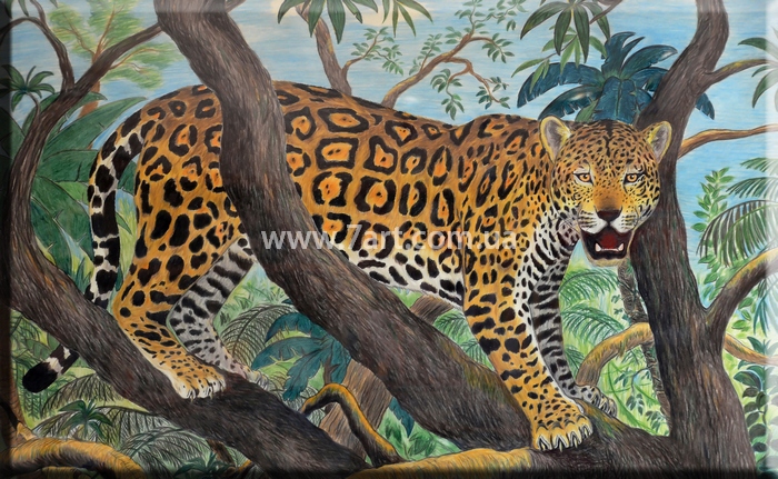 Картины Животных, Art. ANM777003