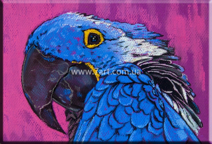 Картины Животных, Art. ANM777005
