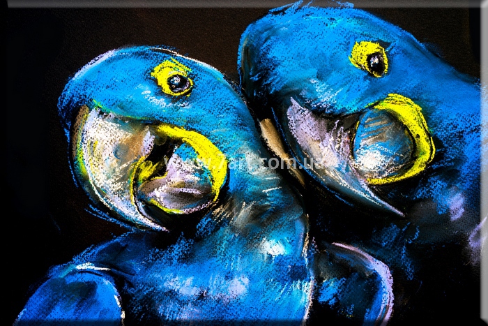 Картины Животных, Art. ANM777013