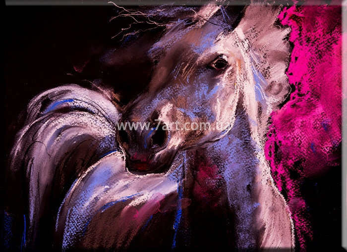 Картины Животных, Art. ANM777021