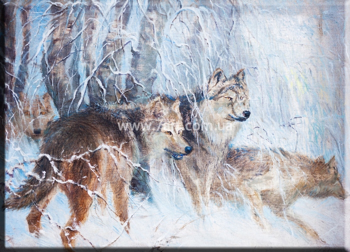 Картины Животных, Art. ANM777025