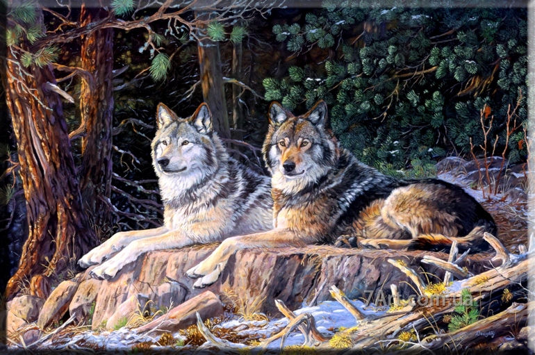 Картина Волки, Art. JIV888109