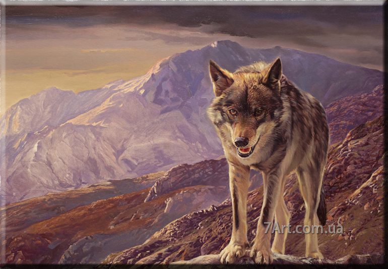 Картины животных, Art. JIV888121