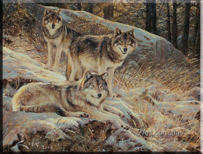 Картины животных, Art. JIV888130