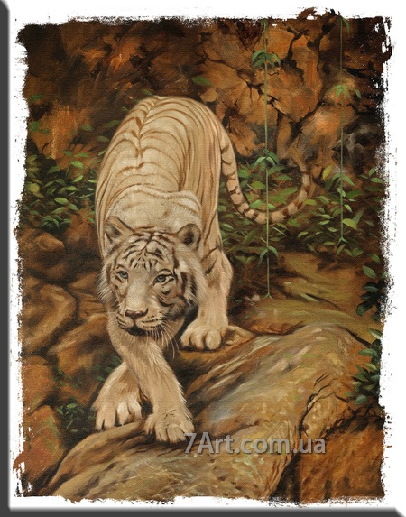 Картины животных, Art. JIV888136