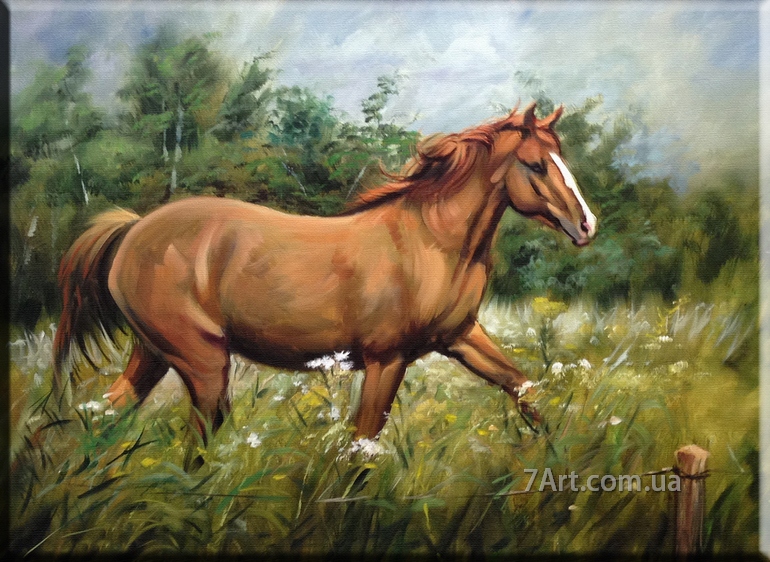 Картины животных, Art. JIV888142
