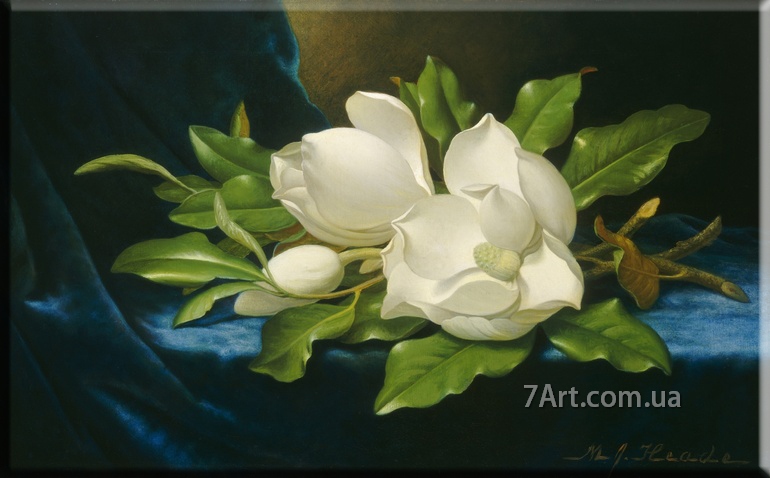 Картины цветы, ART: FLL888160